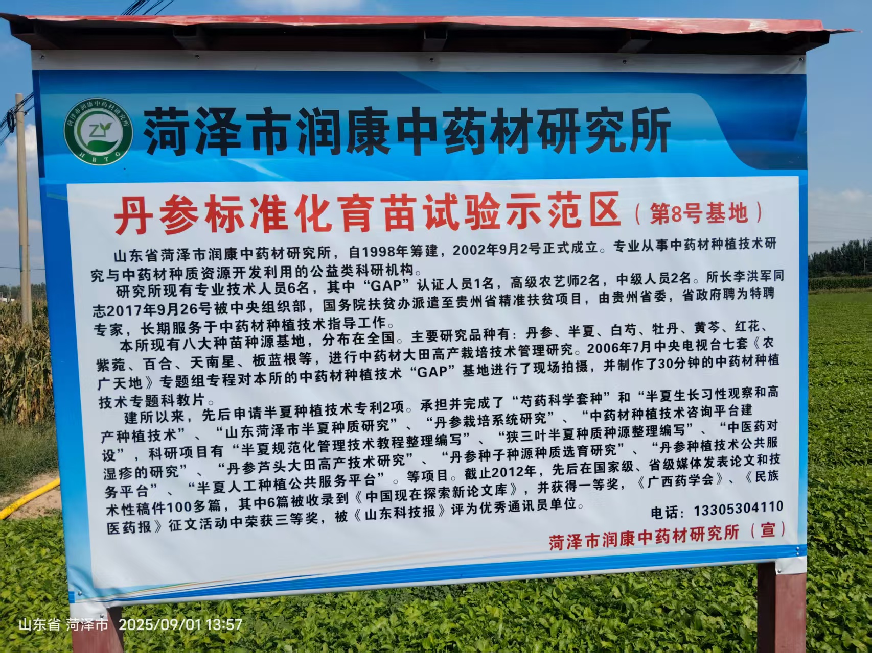 菏澤市潤康中藥材研究所8號丹參育苗基地